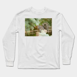 Grey Squirrel Long Sleeve T-Shirt